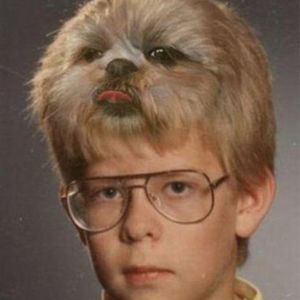 Meet your Posher, Simon